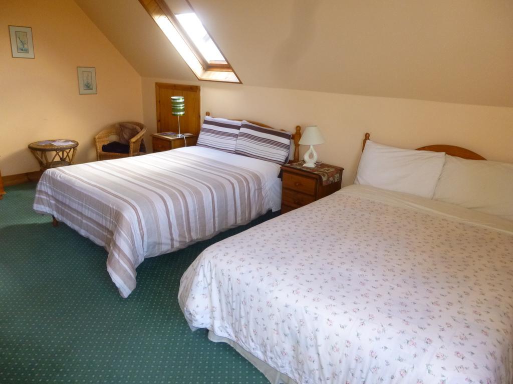 Ferryview B&B V23 X577 Cahersiveen Værelse billede